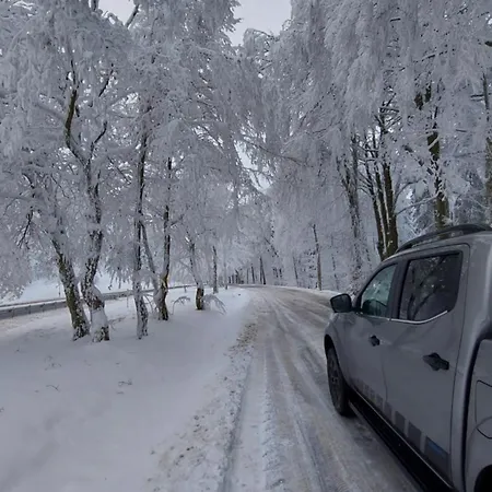 Maries Bunte Lägenhet