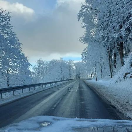 Maries Bunte Apartmán Bad Berleburg