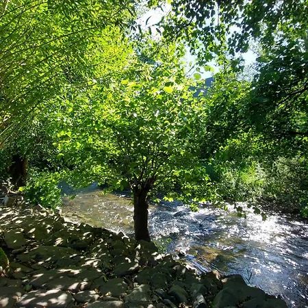 Maries Bunte Lejlighed *