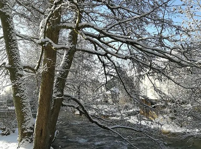 דירה Maries Bunte באד ברלבורג