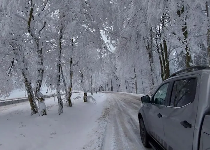 Maries Bunte Lejlighed