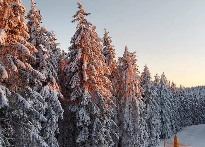 Maries Bunte 公寓 *