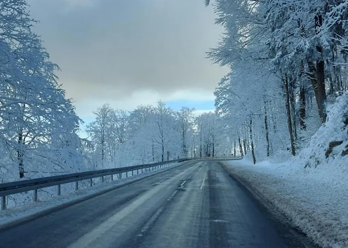 Maries Bunte Lejlighed Bad Berleburg