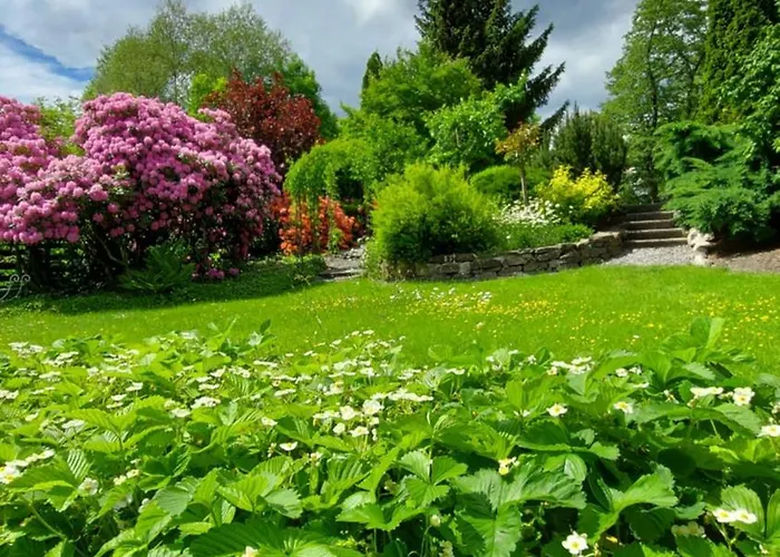 Maries Bunte * 巴特贝勒堡