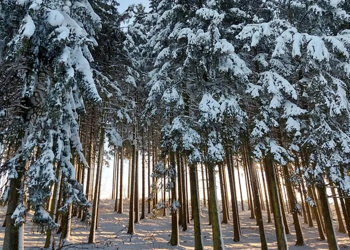 דירה Maries Bunte באד ברלבורג