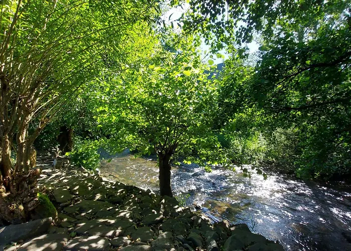 Maries Bunte Lejlighed *